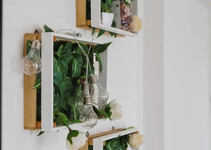 Apartment Swamyhome Aereoportobaripalese